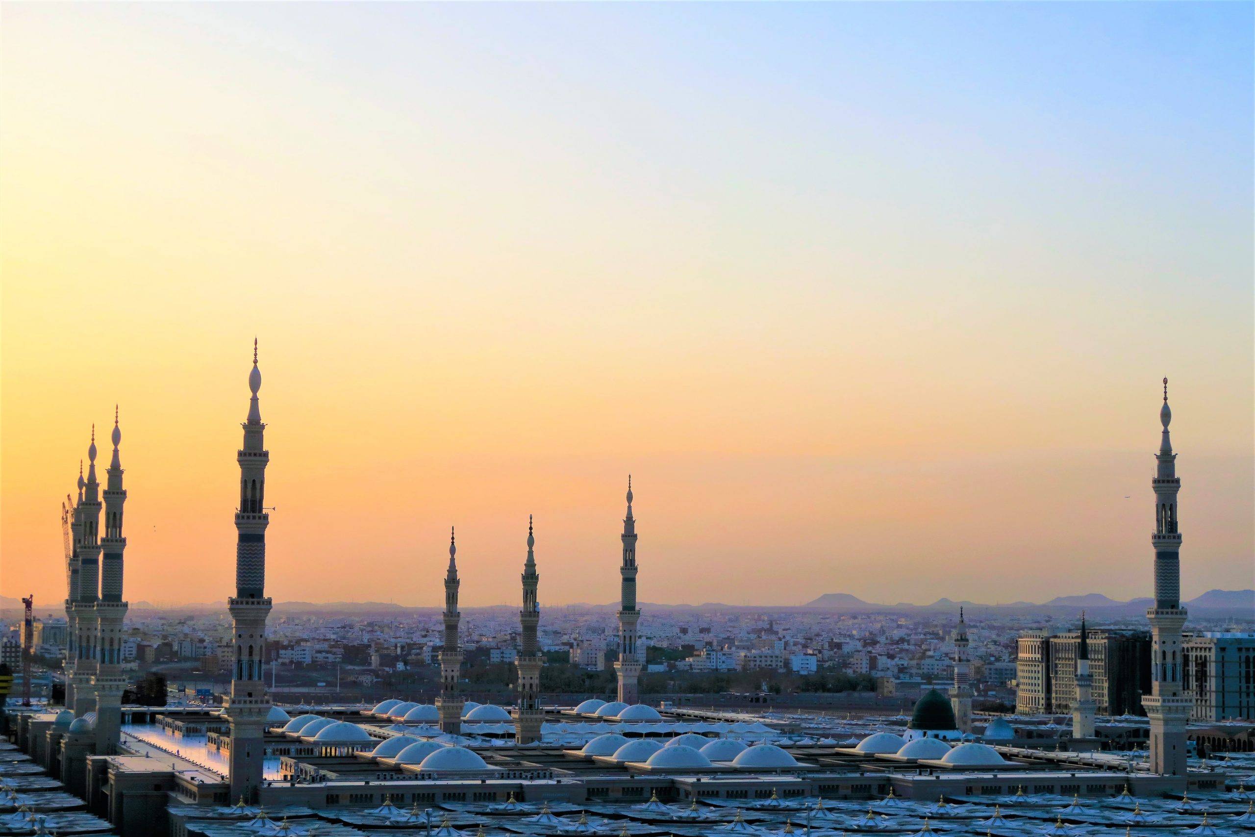 ما هي ابرز الاسس التي تقوم عليها المملكة العربية السعودية