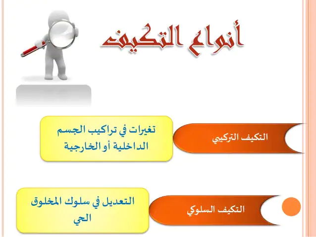 التكيفات التركيبية هي تغيرات في تراكيب الجسم الداخلية والخارجية