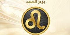 مواليد شهر 8 أي برج