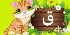 كلمات بحرف القاف مقالاتي