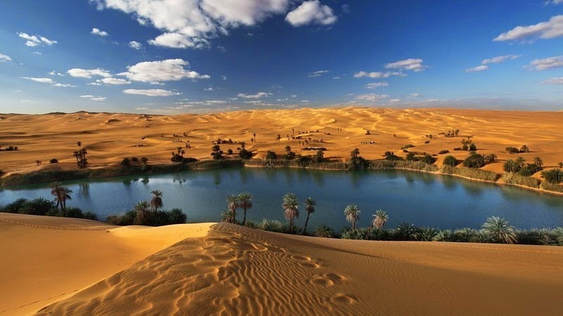 اهم الاماكن السياحية وما تشتهر به واهم منتجاتها مثل واحة سيوة