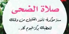 صلاة الضحى كم ركعه
