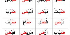 كلمات تحتوي على حرف الضاد
