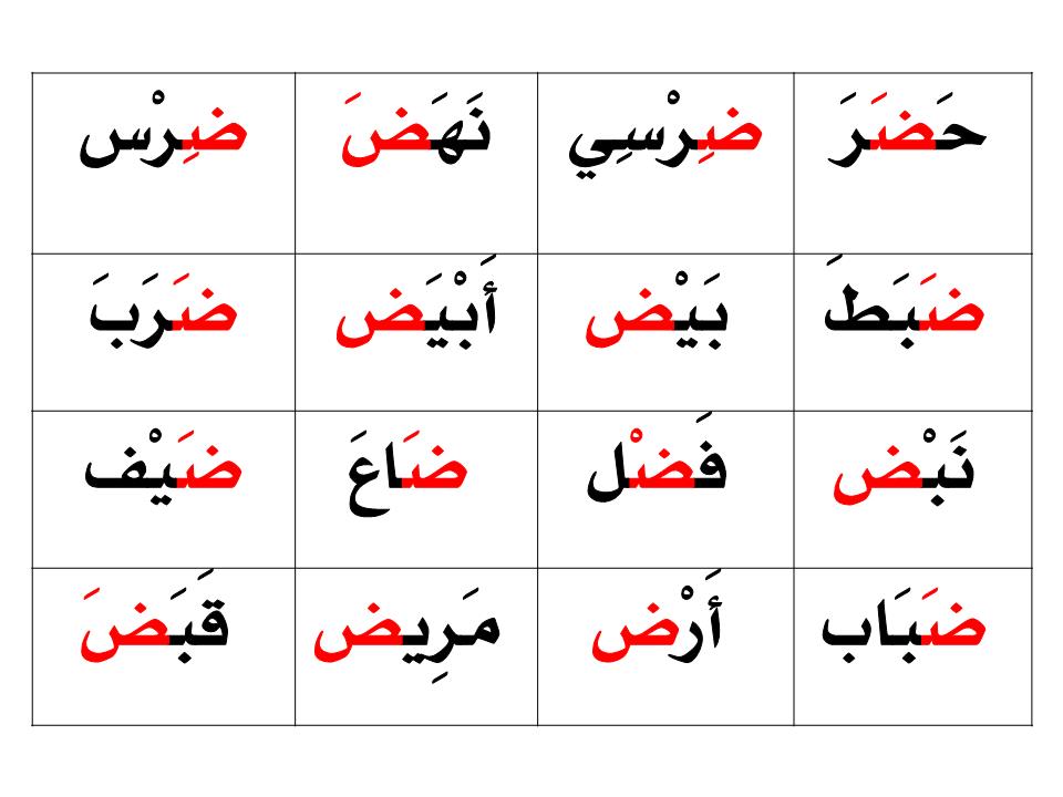 كلمات تحتوي على حرف الضاد