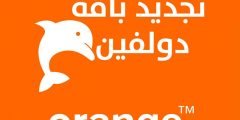 كود تجديد باقة دولفين 25 قبل موعدها