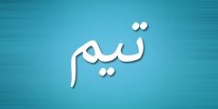 ما معنى اسم تيم وحكم تسميته