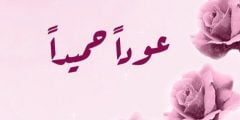 وش الرد على عودآ حميدآ