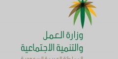 استعلام عن رصيد التأهيل الشامل بالسجل المدني