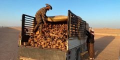 الأمن البيئي تضبط  12 مواطنًا مخالفًا لنقلهم وتخزينهم حطبًا محليًا في الرياض