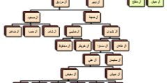 الشايقي وش يرجعون ، أصل عائلة الشايقي من وين