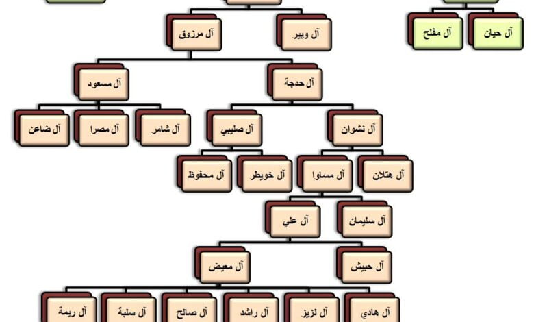 الشايقي وش يرجعون ، أصل عائلة الشايقي من وين