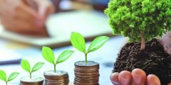 المشروعات الصغيرة ودورها في التنمية