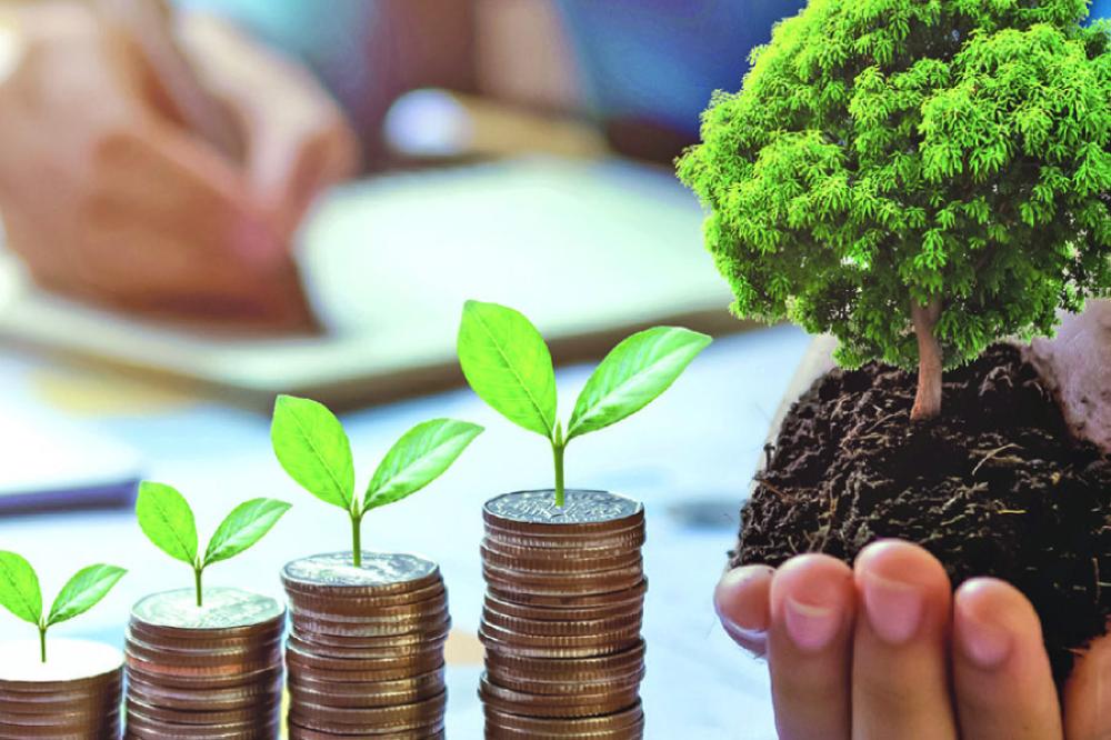المشروعات الصغيرة ودورها في التنمية