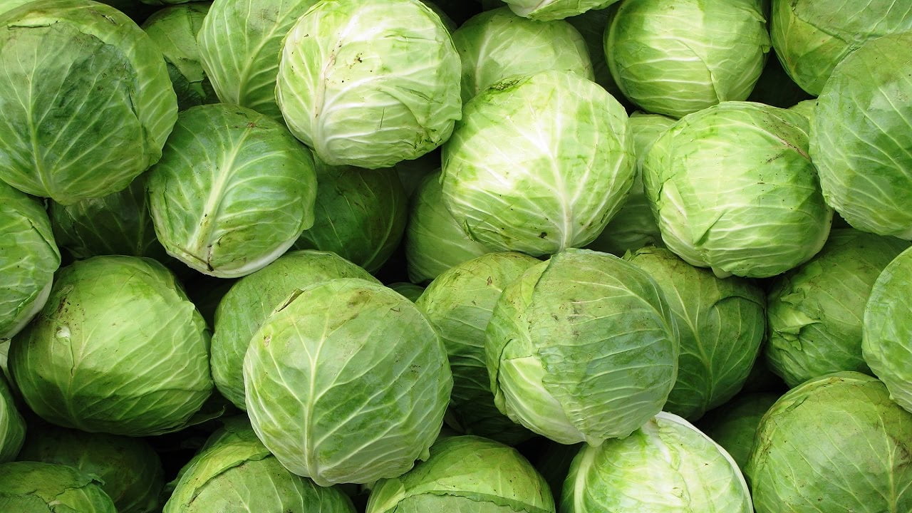 تفسير حلم رؤية الكرنب في المنام