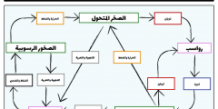 خريطة مفاهيم لانواع الصخور