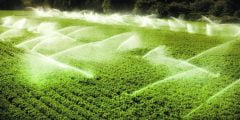 شروط برنامج التنمية الريفية الزراعية المستدامة 1443