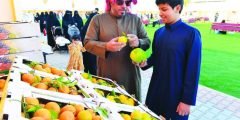 فعاليات مهرجان الحمضيات 1443 في السعودية