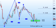 كم سعر سهم الحكير