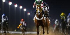 نادي سباق الخيل ينظم كأس ولي العهد في نسخته 56
