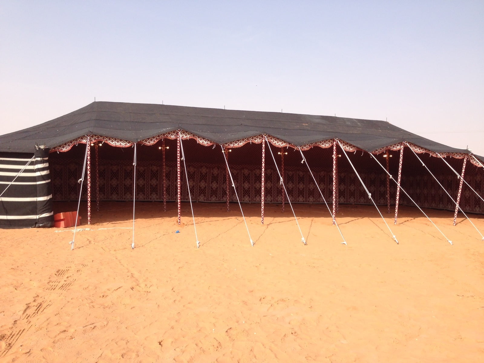 أبو نيان وش يرجعون