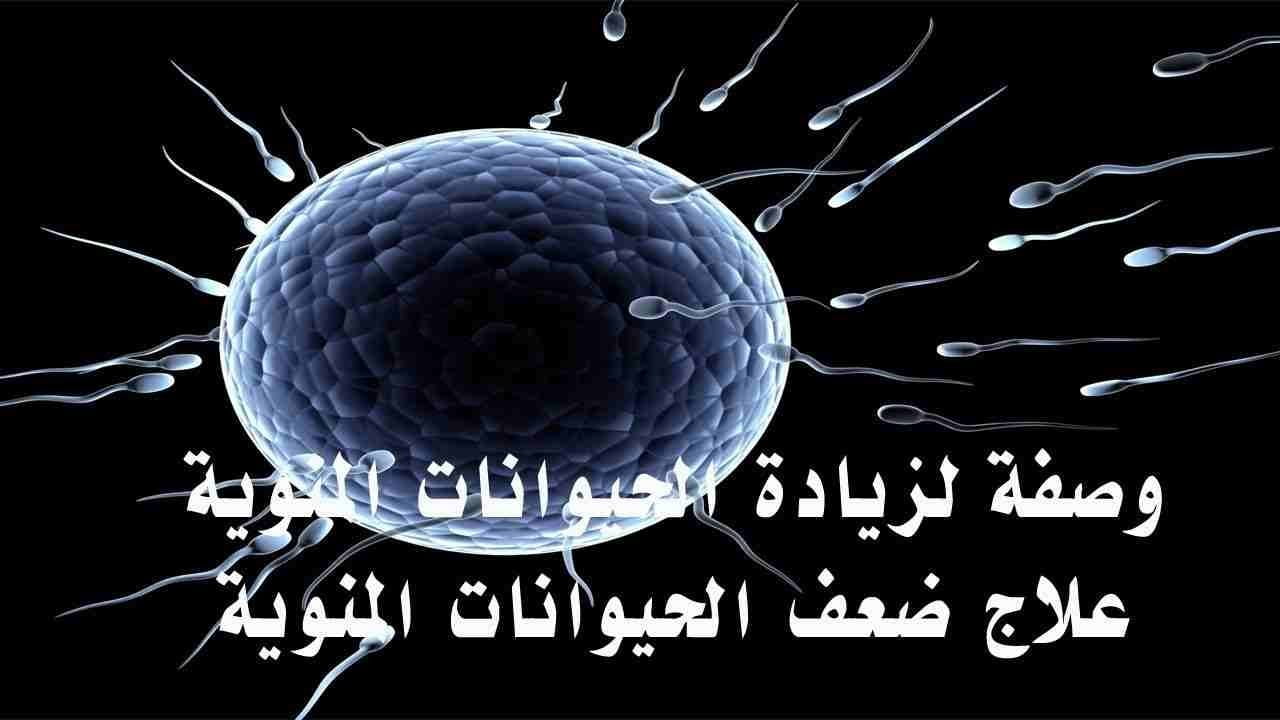 أسباب ضعف الخصوبة لدى الرجال