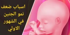 أسباب ضعف نمو الجنين في الأشهر الأولى من الحمل