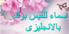 احلى اسماء للفيس بوك بالإنجليزي ومعناها بالعربي للبنات