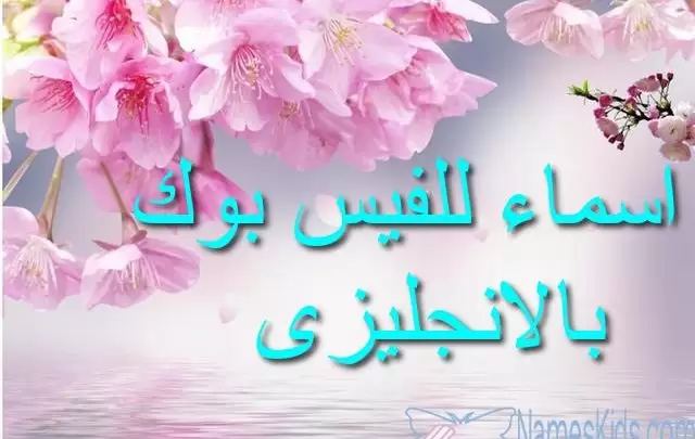 احلى اسماء للفيس بوك بالإنجليزي ومعناها بالعربي للبنات