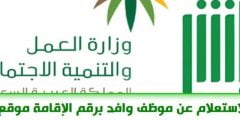 الاستعلام عن موظف وافد في مكتب العمل
