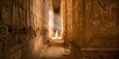 بحث عن الملك أحمس في مصر القديمة