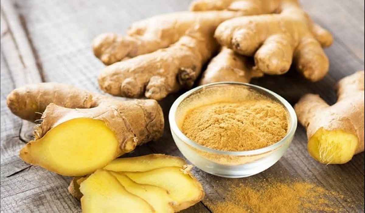 تفسير حلم الزنجبيل في المنام لابن سيرين