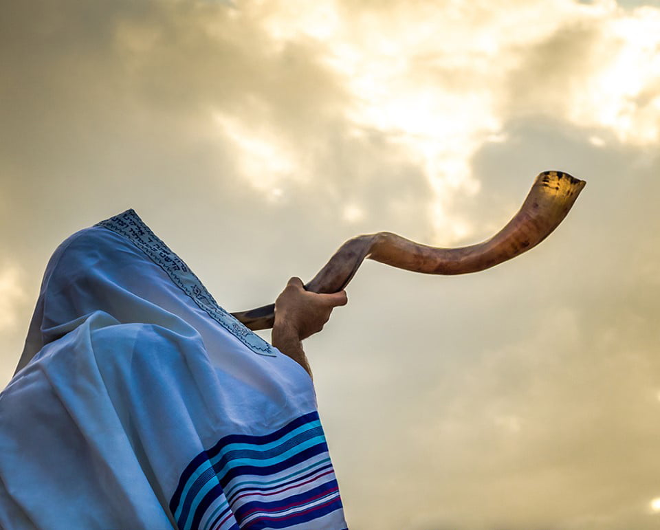 تفسير حلم رؤية البوق في المنام