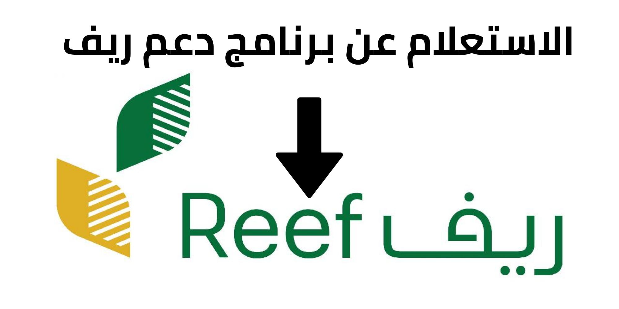 رابط الاستعلام عن الدعم الريفي برقم الهوية لينك reef.gov.sa