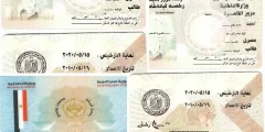 استخراج رخصة قيادة لأول مرة في مصر بالخطوات