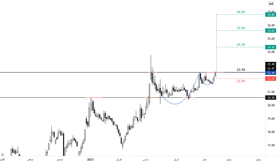 سعر سهم ايان