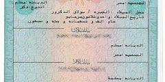 خطوات وأماكن استخراج شهادة الميلاد الميكنة خلال دقائق