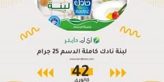 عدد السعرات الحرارية في اللبنة