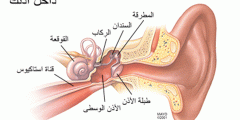 علاج التهاب الاذن الوسطى وما هي أسباب التهاب الأذن الوسطى