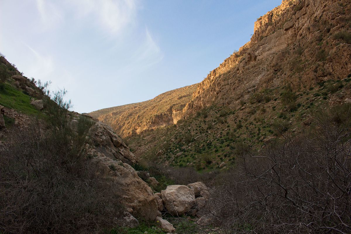 ما تفسير حلم رؤية الوادي في المنام لابن سيرين والنابلسي