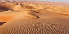 ما هي المنطقه الأكثر تواجدا في المملكه العربيه السعودية