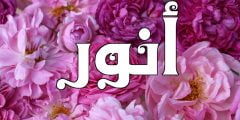 معنى اسم انور Anwar حسب علم النفس