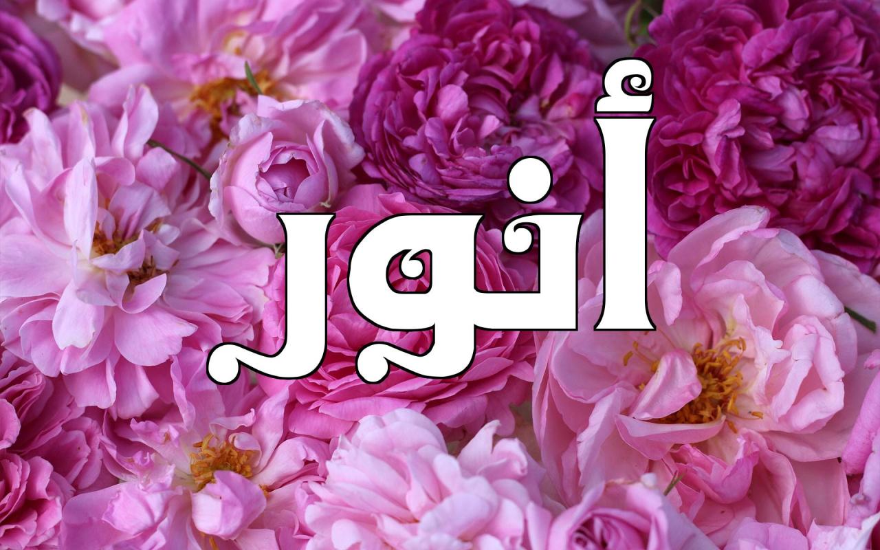معنى اسم انور Anwar حسب علم النفس