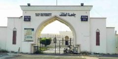 نسب القبول في جامعة الطائف 1442 للبكالوريوس والدبلوم