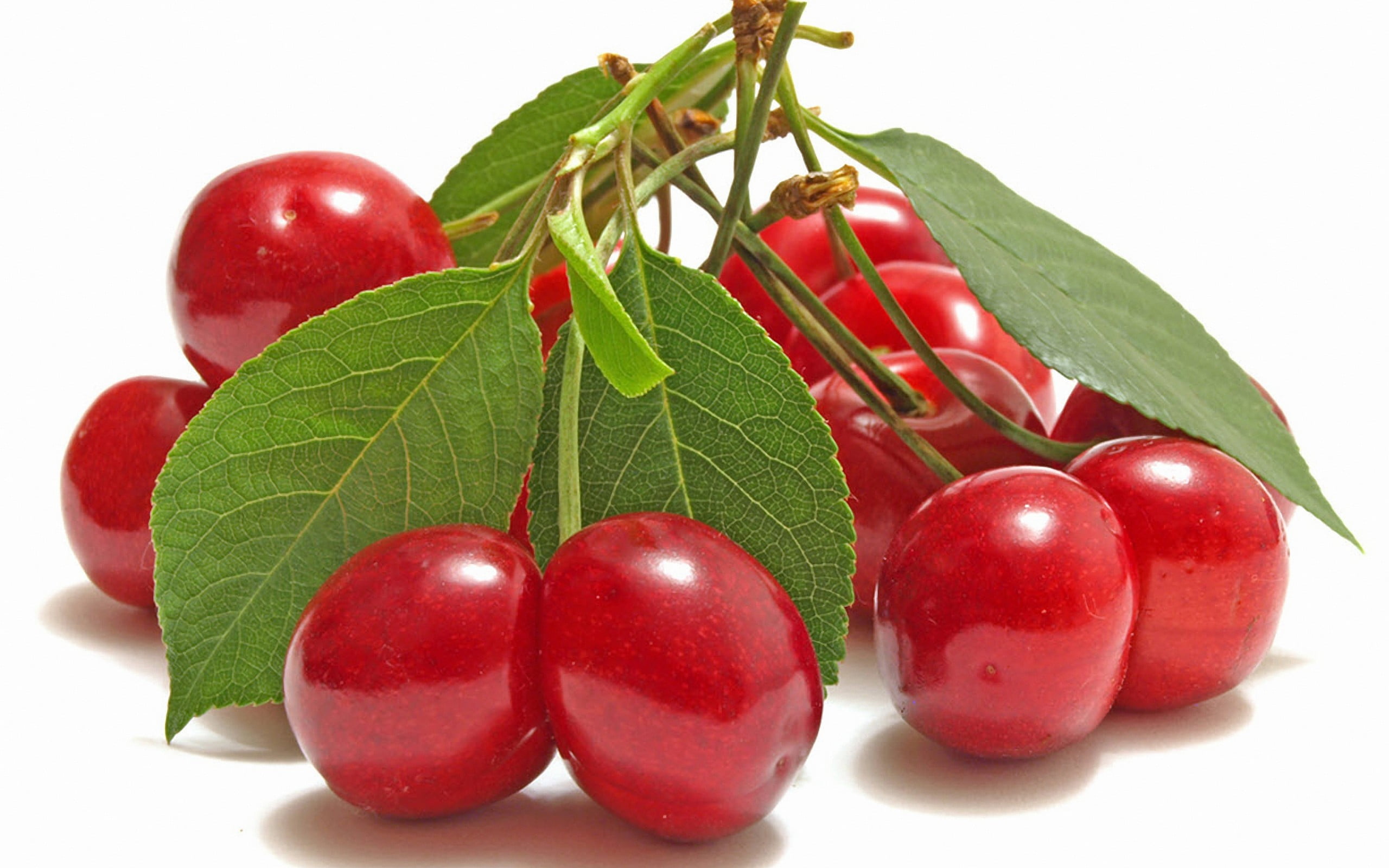 نصائح هامه فى نهار رمضان 1443