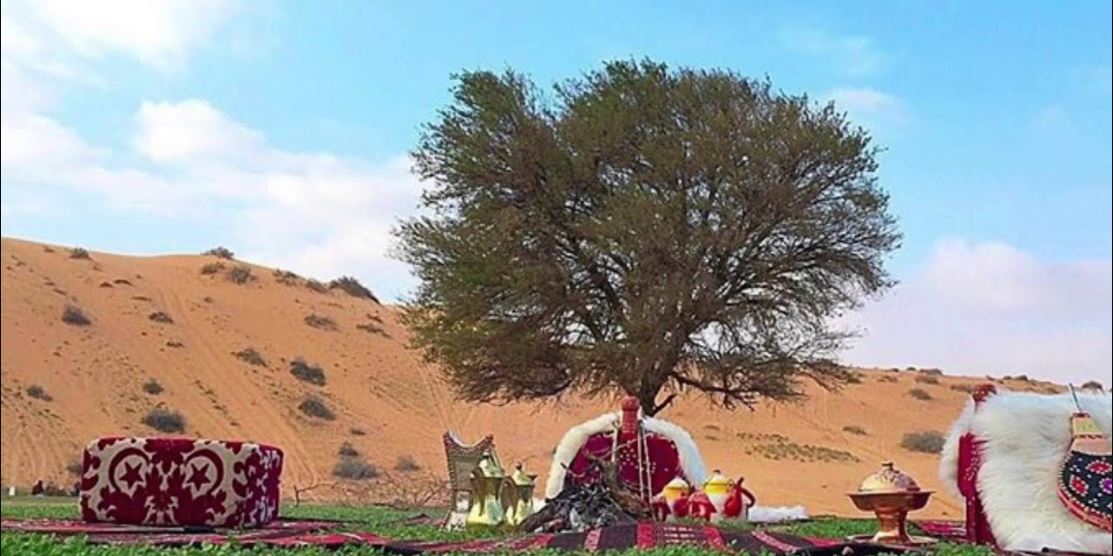 اجلس تربع بالحشا حط مركاك كلمات