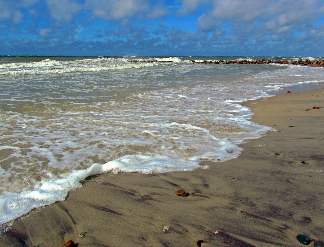 المد ظاهرة تنشأ بسبب قوة الجذب بين