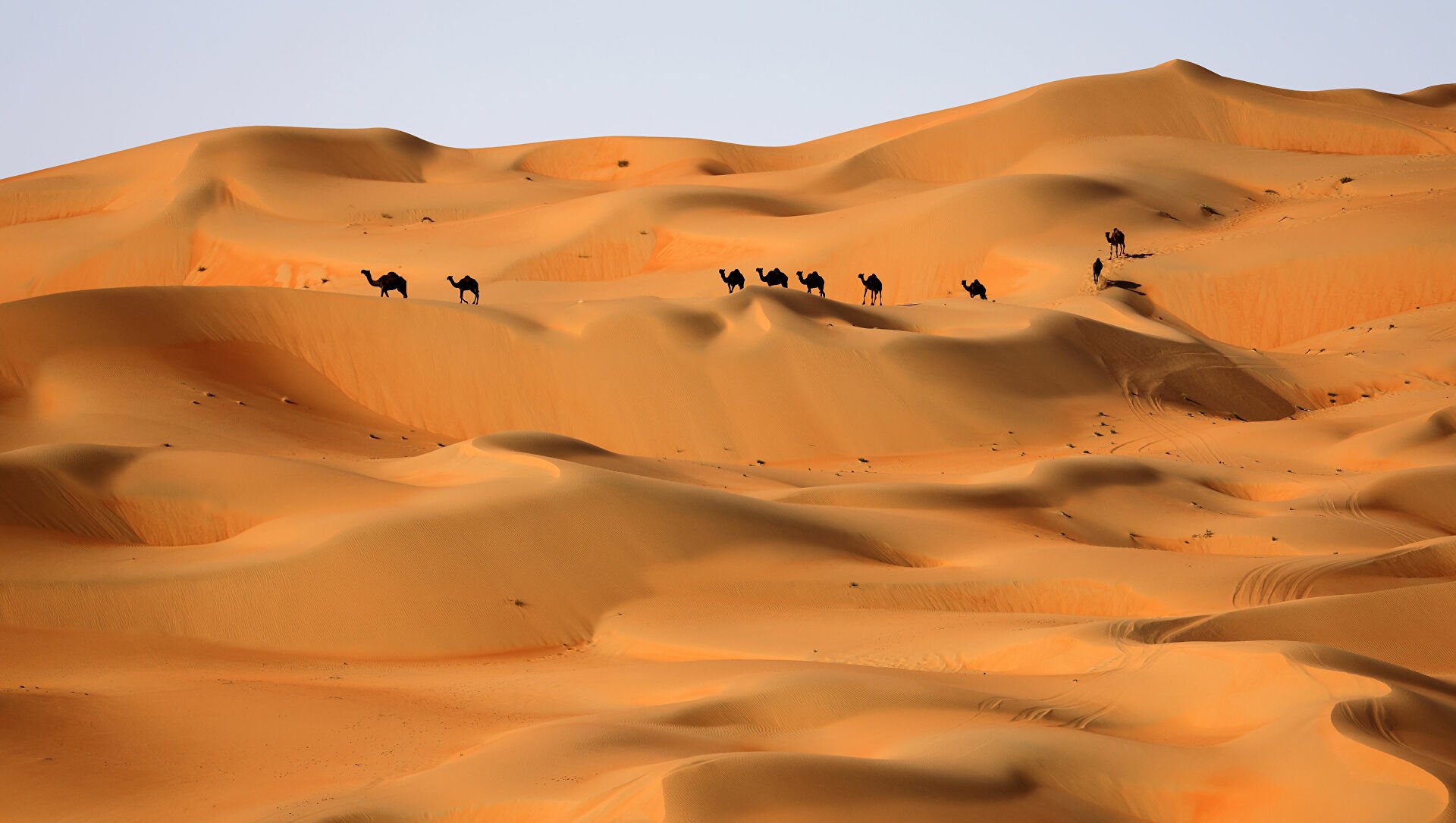 تقع شبه الجزيرة العربية في الجنوب الغربي من قارة