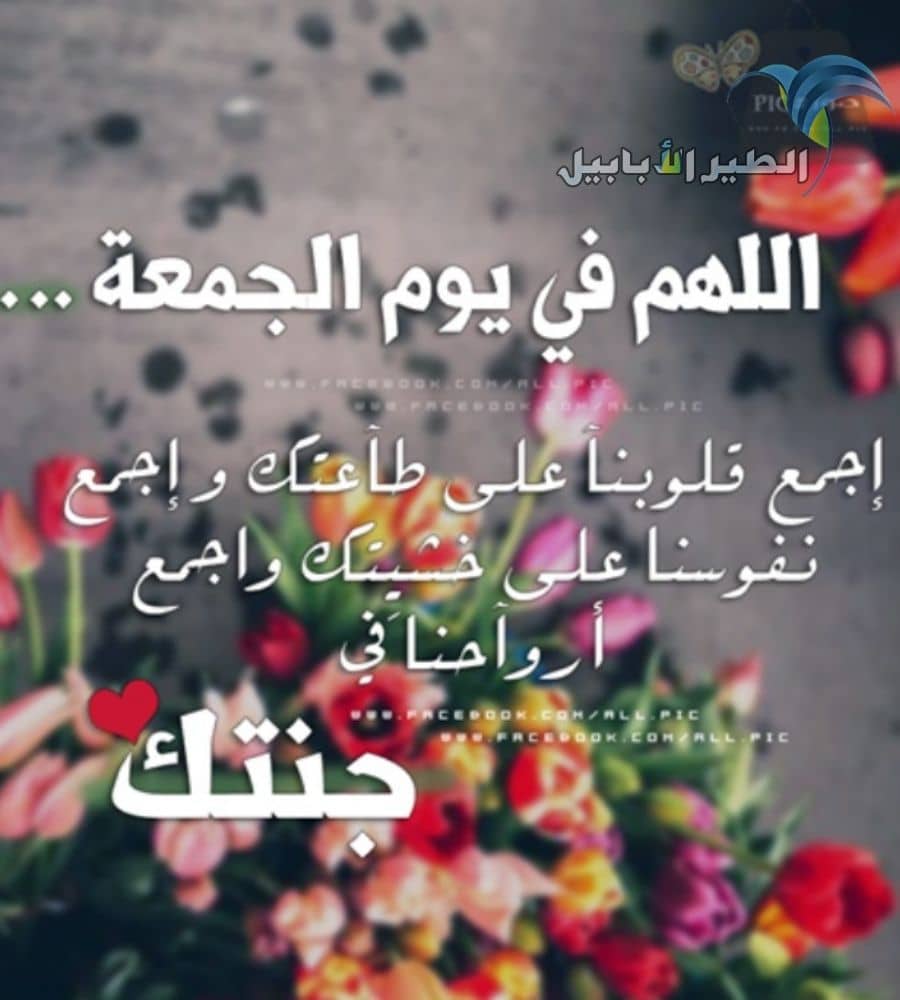 عبارات شكر لله على المولود الجديد