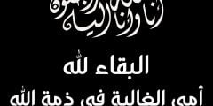 من هو عبدالله بن علي العلوي ويكيبيديا