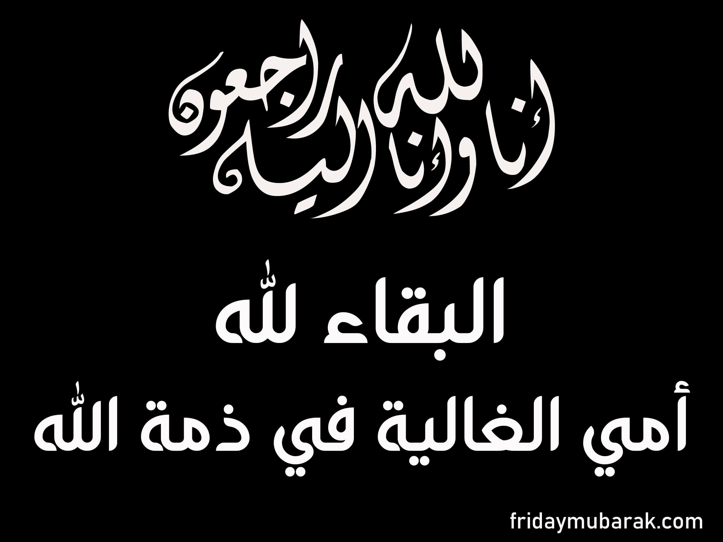 من هو عبدالله بن علي العلوي ويكيبيديا